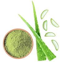 Aloe Vera Powder 200