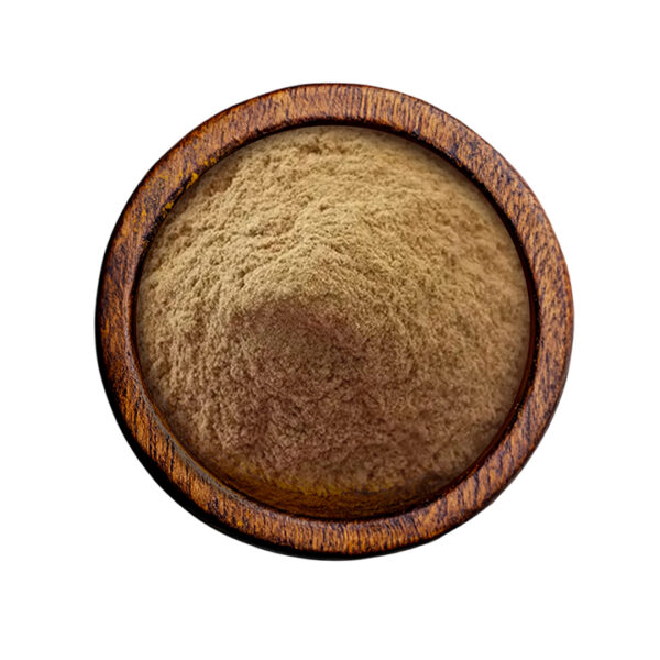 Aloe Vera Powder