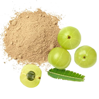 Amla Powder (with seeds) 200