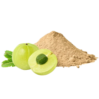 Amla Powder (without seeds) 200