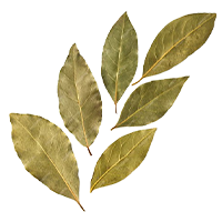 Bay Leaves 200
