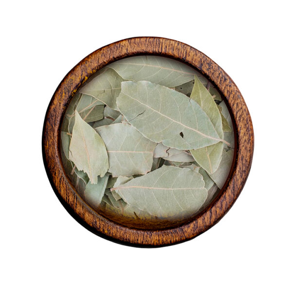 Bay Leaves (Laurus nobilis)