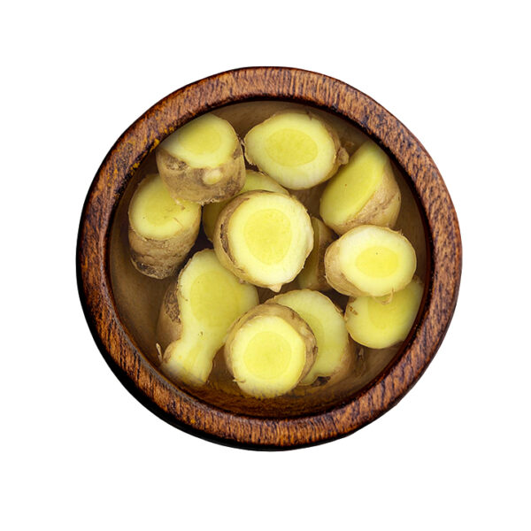 Ginger (Zingiber officinale)