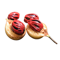 Mace Myristica fragrans 200