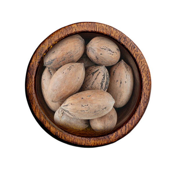 Nutmeg (Myristica fragrans)