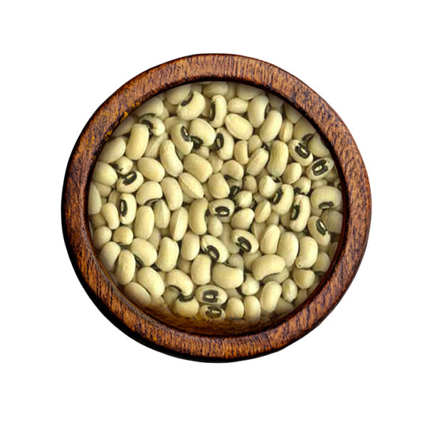 Black-Eyed Bean (Vigna unguiculata)