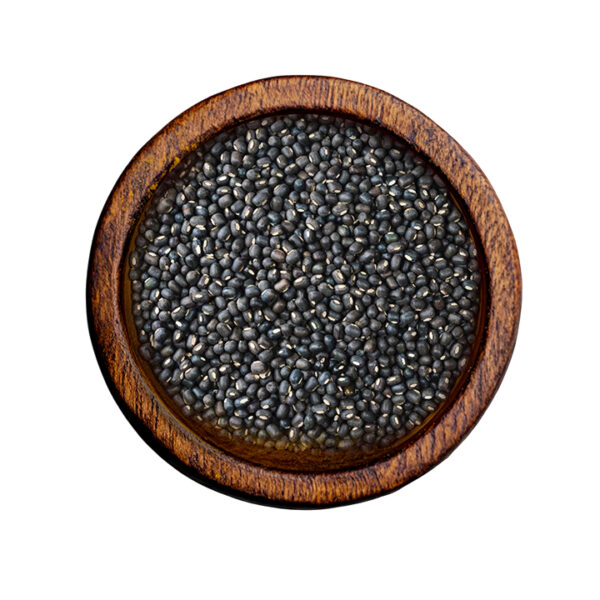Black Gram (Vigna mungo)