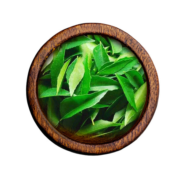 Curry Leaves (Murraya koenigii)