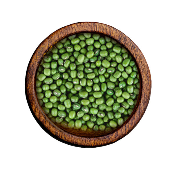 Green Gram (Vigna radiata)