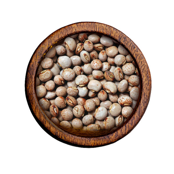 Pigeon Pea (Cajanus cajan)