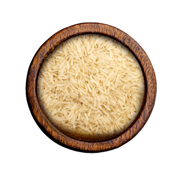 Rice (Oryza sativa)