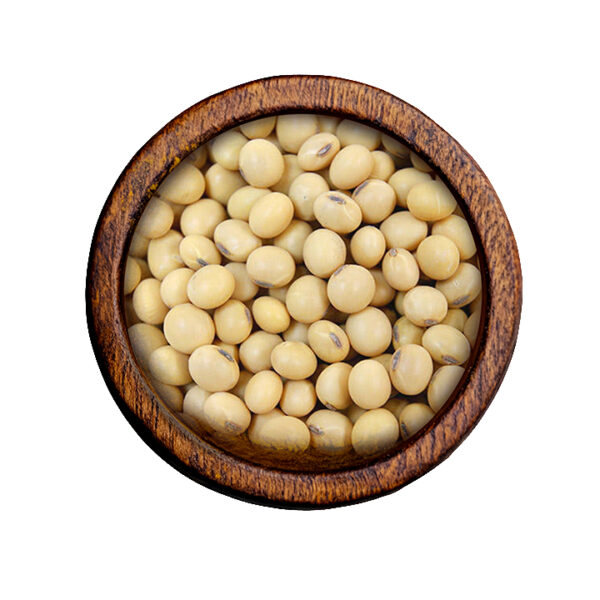 Soya Beans (Glycine max)