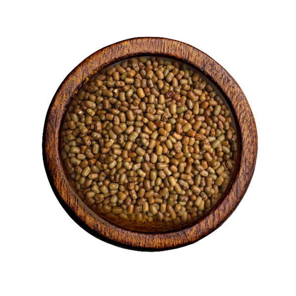 Turkis Gram (Cajanus cajan)