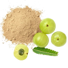 Amla Powder (with seeds)