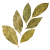 Bay Leaves