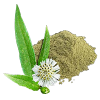 Bhringraj Powder